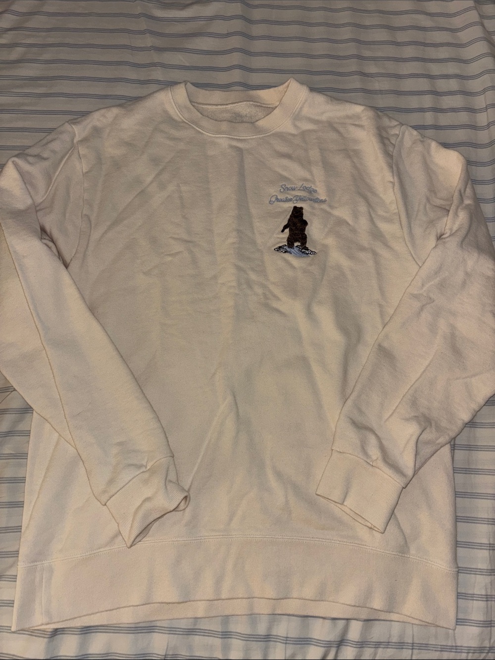 Brandy Melville Sweatshirt